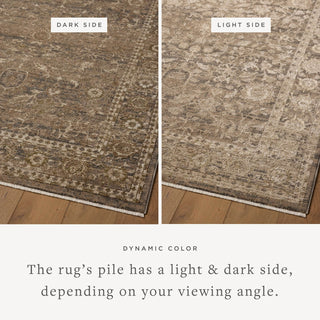 Loloi Haywood HYD-02 Pebble/Charcoal Area Rug Lifestyle Image Feature