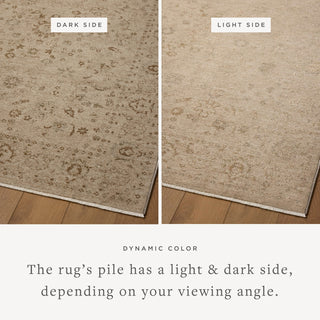 Loloi Haywood HYD-02 Sand/Natural Area Rug Lifestyle Image Feature