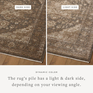 Loloi Haywood HYD-03 Charcoal/Mocha Area Rug Lifestyle Image Feature
