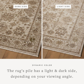 Loloi Haywood HYD-04 Ivory/Taupe Area Rug Lifestyle Image Feature