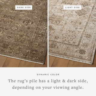 Loloi Haywood HYD-04 Sage/Earth Area Rug Lifestyle Image Feature