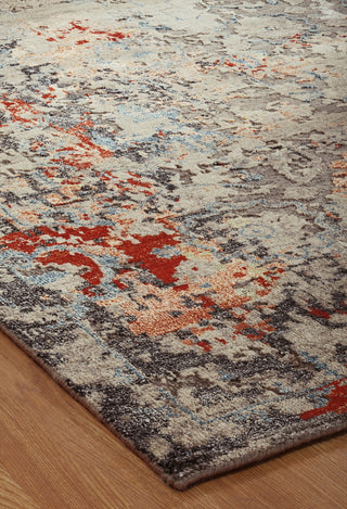 Ancient Boundaries Hope HOP-06 Vintage Grey/Multi Area Rug