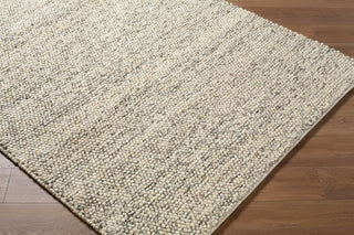 Livabliss Hazar HZA-2302 Taupe Area Rug Corner Shot