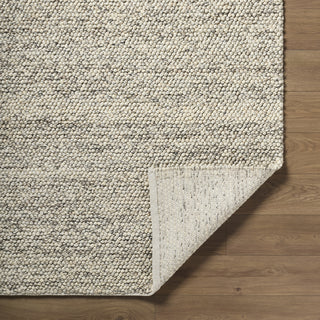 Livabliss Hazar HZA-2302 Taupe Area Rug Pile