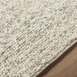 Livabliss Hazar HZA-2302 Taupe Area Rug Detail
