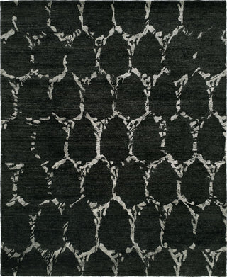 Ancient Boundaries Iain IAI-05 Area Rug Main Image