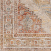 Livabliss Naila IAL-2303 Area Rug Swatch