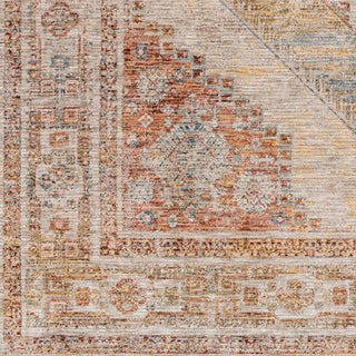 Livabliss Naila IAL-2303 Area Rug Swatch