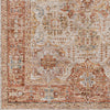 Livabliss Naila IAL-2305 Area Rug Swatch