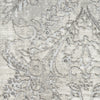 Nourison Iliana ILI01 Light Grey Area Rug by Inspire Me! Home D�cor Swatch Image