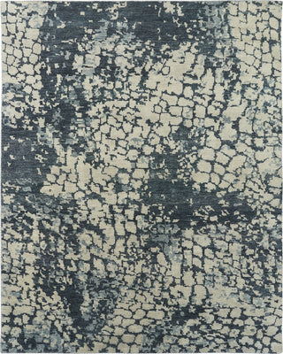 Ancient Boundaries Impact IMP-04 Indigo/Ivory Area Rug Main Image