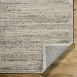 Livabliss Ipswich IPC-2300 Beige Area Rug Pile