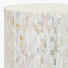 Surya Iridescent ISC-001 Ivory Furniture Corner Shot