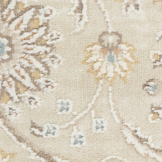 Nourison Isla ISL01 Ivory Area Rug Swatch Image