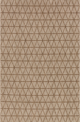 Loloi Isle IE-04 Beige / Mocha Area Rug main image