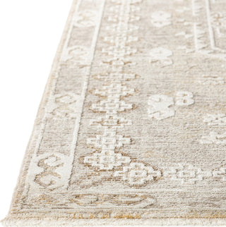 Dalyn Izmir IZ4 Flax Area Rug