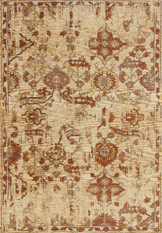 Loloi Izmir IZ-01 Tan / Spice Area Rug Main Image