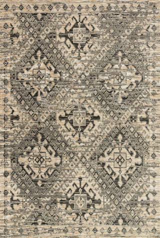 Loloi Izmir IZ-02 Grey / Beige Area Rug Main Image