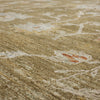 Karastan Adalia Iznik Brown Area Rug Detail Image
