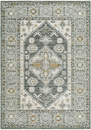Livabliss Jane JAA-2300 Area Rug main image