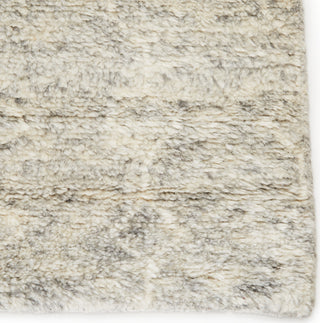 Jaipur Living Indira IND02 Area Rug Detail Image