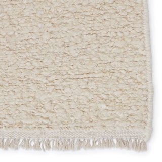 Jaipur Living Aldea ADE01 Area Rug Detail Image