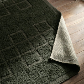 Jaipur Living Aibel AIB01 Green Green/ Area Rug Detail Image