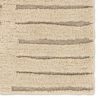 Jaipur Living Aibel Vildan AIB02 Tan/Brown Machine Washable Area Rug Detail Image