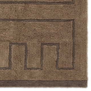 Jaipur Living Aibel Ziyan AIB04 Brown Machine Washable Area Rug Detail Image