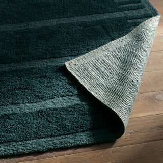 Jaipur Living Aibel Evren AIB06 Blue Machine Washable Area Rug Detail Image