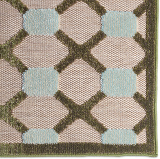 Jaipur Living Alina Thessara ALI06 Green Area Rug Detail Image