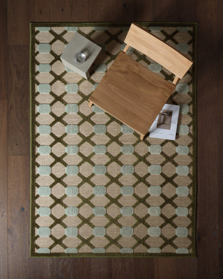 Jaipur Living Alina Thessara ALI06 Green Area Rug Lifestyle Image