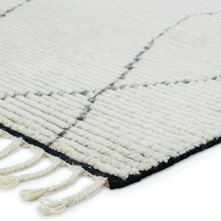 Jaipur Living Alpine Ammil ALP03 Cream/Black Area Rug Corner Image