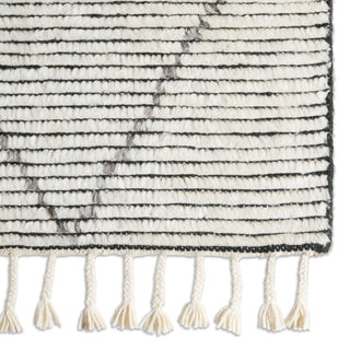 Jaipur Living Alpine Ammil ALP03 Cream/Black Area Rug Detail Image