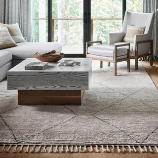 Jaipur Living Alpine Ammil ALP03 Cream/Black Area Rug Collection Image