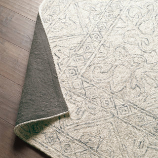 Jaipur Living Almira Carmen ALR01 Blue/Light Gray Area Rug Main Image