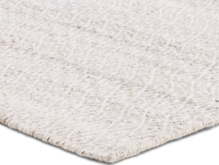 Jaipur Living Almas Imogen ALS02 Gray Area Rug