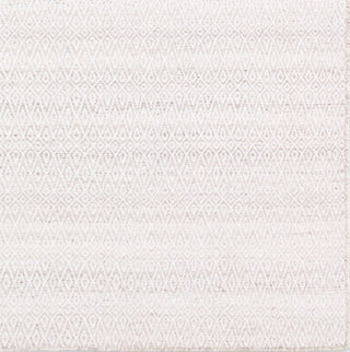 Jaipur Living Almas Imogen ALS02 Gray Area Rug