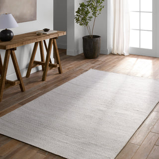 Jaipur Living Almas Imogen ALS02 Gray Area Rug Lifestyle Image