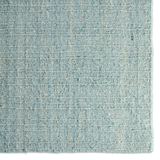 Jaipur Living Amity Vidalia AMI07 Blue Area Rug Detail Image