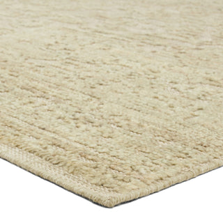 Jaipur Living Aposio Pranhita APS02 Area Rug Corner Image