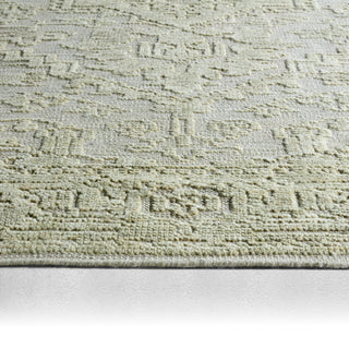 Jaipur Living Aposio Pranhita APS02 Area Rug Backing Image