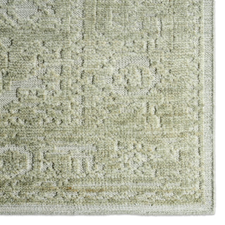 Jaipur Living Aposio Pranhita APS02 Area Rug Detail Image