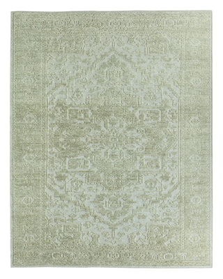 Jaipur Living Aposio Pranhita APS02 Area Rug main image