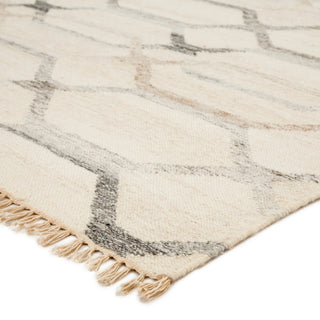 Jaipur Living Anatolia Laveer AT17 Ivory/Light Gray Area Rug Corner Image
