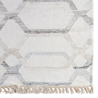 Jaipur Living Anatolia Laveer AT17 Ivory/Light Gray Area Rug Detail Image