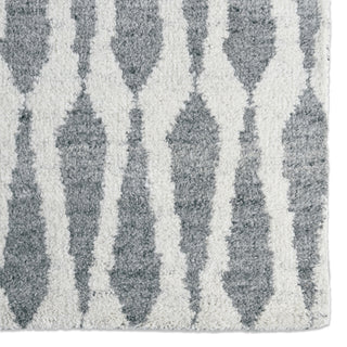 Jaipur Living Azland Sabot AZL04 Ivory/Light Gray Area Rug Detail Image