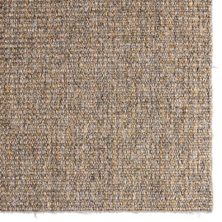 Jaipur Living Bahan Laney BHN01 Tan Area Rug Detail Image