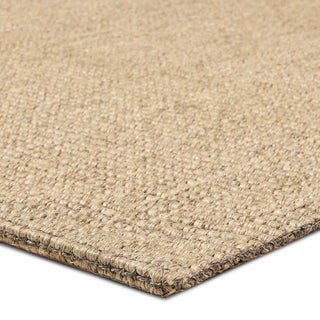 Jaipur Living Bahan Laney BHN02 Tan Area Rug Corner Image