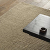 Jaipur Living Bahan Laney BHN02 Tan Area Rug Detail Image